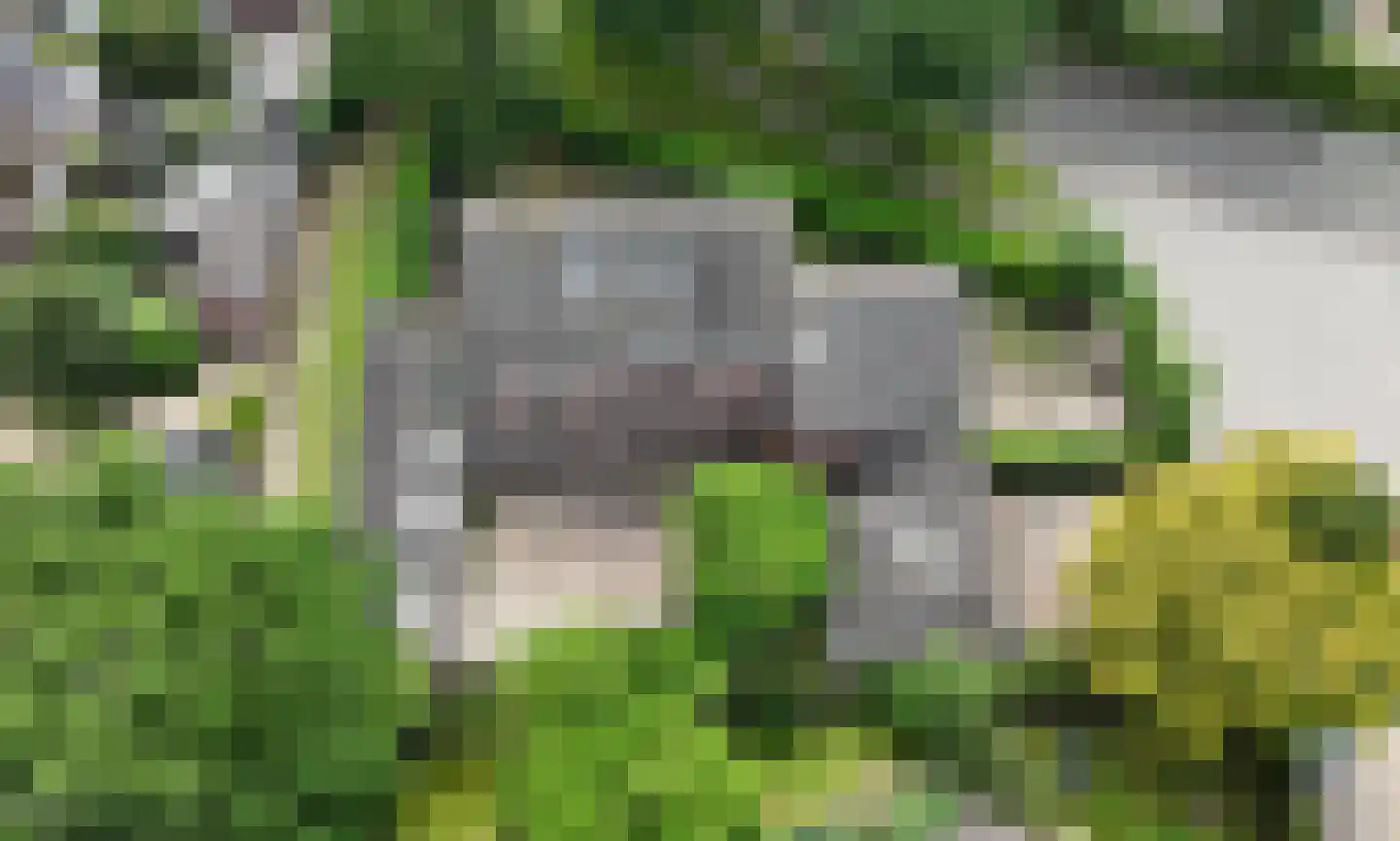 Dierenriem 11 Maartensdijk thumbnail 60