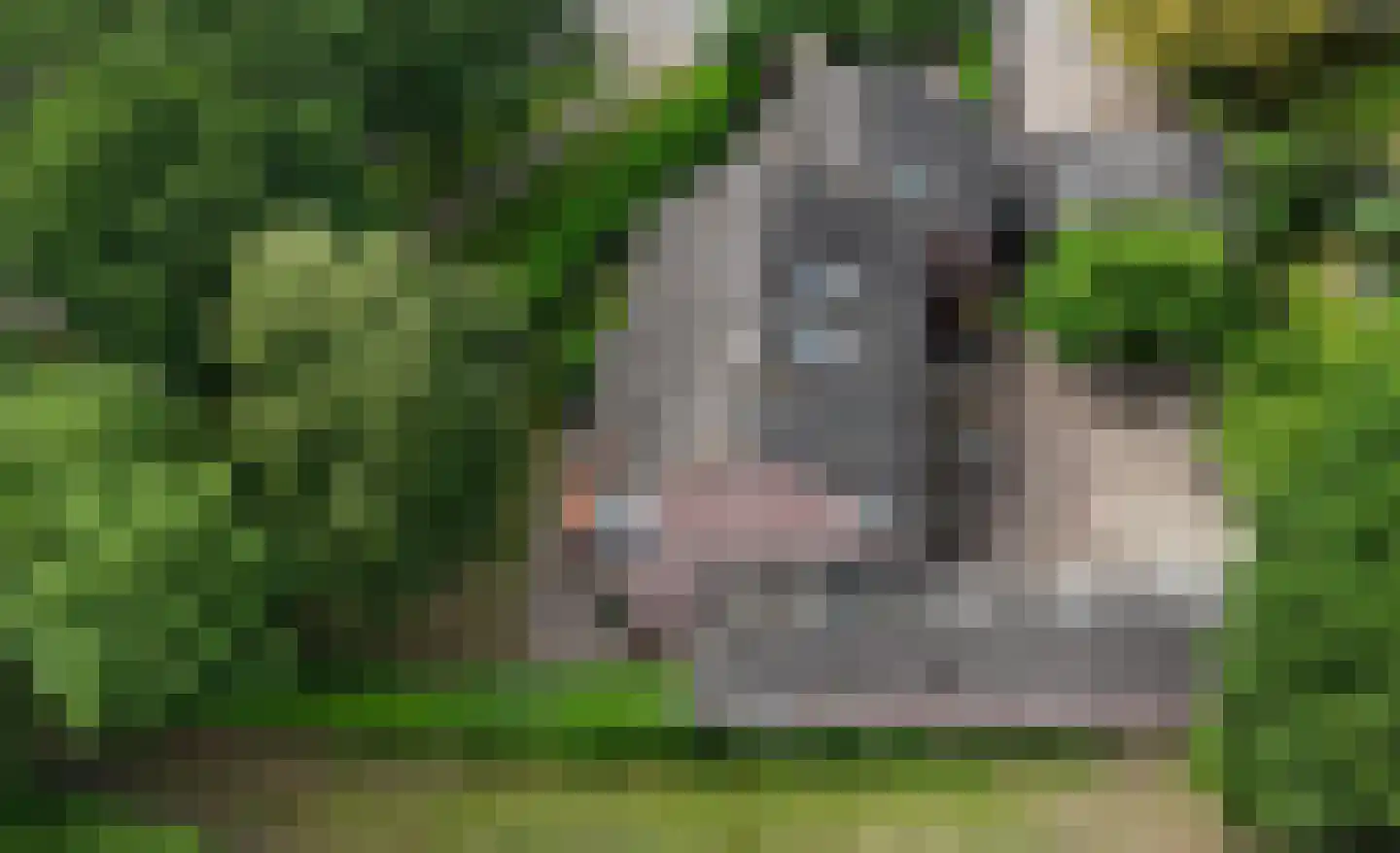 Dierenriem 11 Maartensdijk thumbnail 61