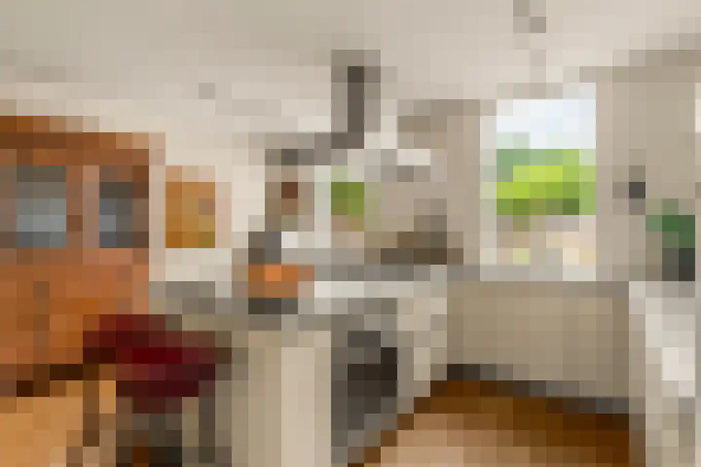 Dierenriem 11 Maartensdijk thumbnail 8
