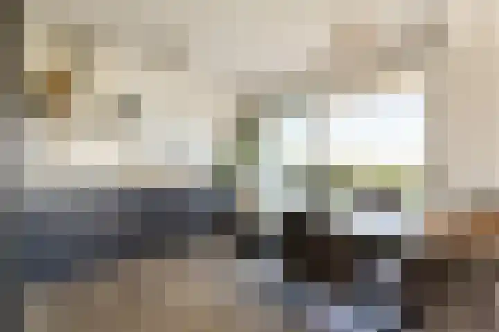 Dierenriem 114 Amsterdam thumbnail 10