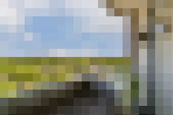 Dierenriem 114 Amsterdam thumbnail 11