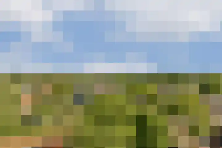 Dierenriem 114 Amsterdam thumbnail 12