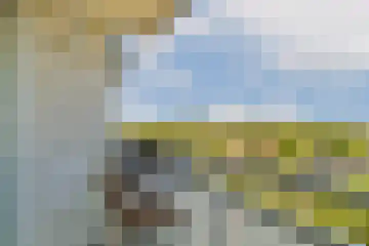 Dierenriem 114 Amsterdam thumbnail 13