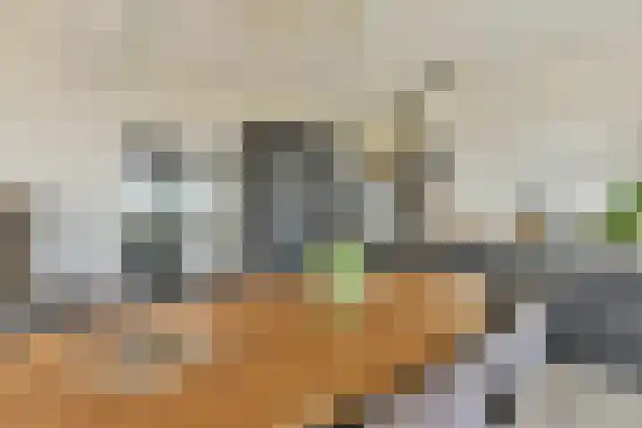 Dierenriem 114 Amsterdam thumbnail 14