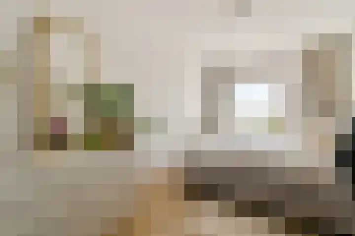 Dierenriem 114 Amsterdam thumbnail 15