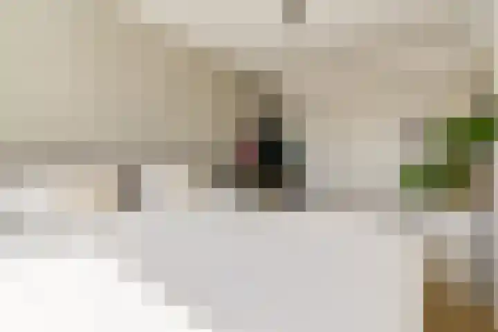 Dierenriem 114 Amsterdam thumbnail 16