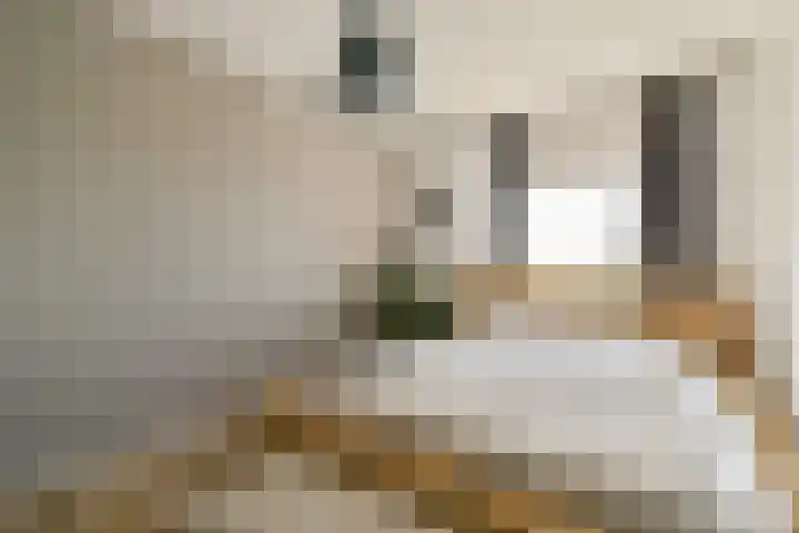 Dierenriem 114 Amsterdam thumbnail 19