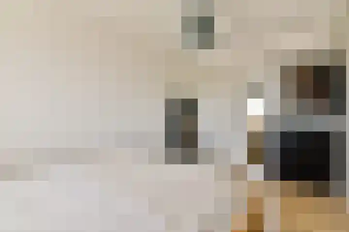 Dierenriem 114 Amsterdam thumbnail 20