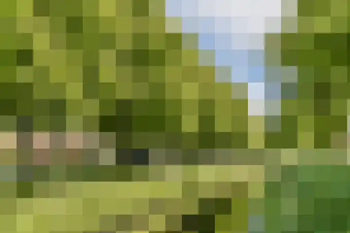 Dierenriem 114 Amsterdam thumbnail 22