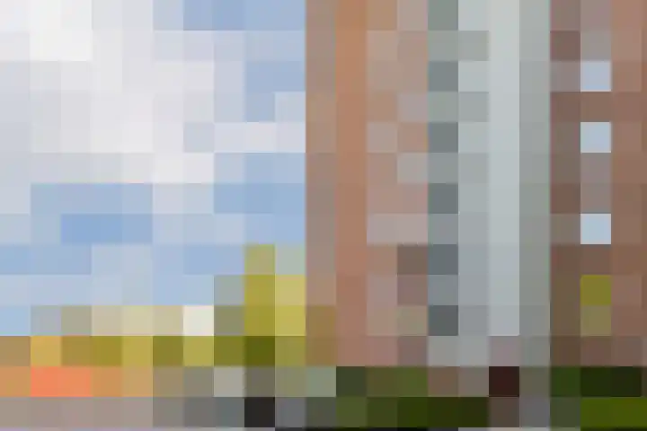 Dierenriem 114 Amsterdam thumbnail 23