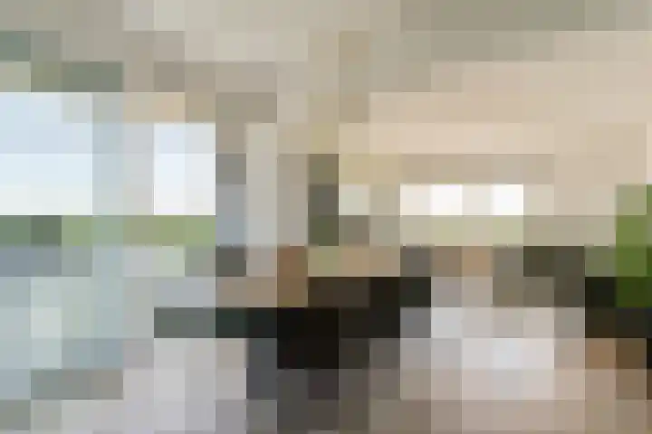 Dierenriem 114 Amsterdam thumbnail 24