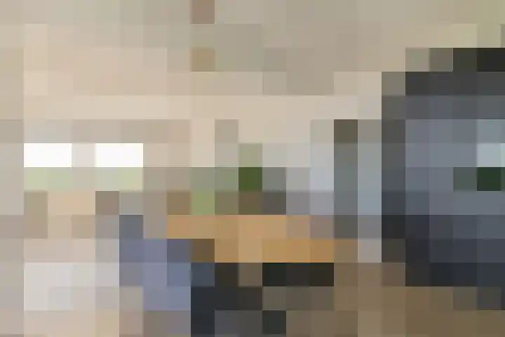 Dierenriem 114 Amsterdam thumbnail 7