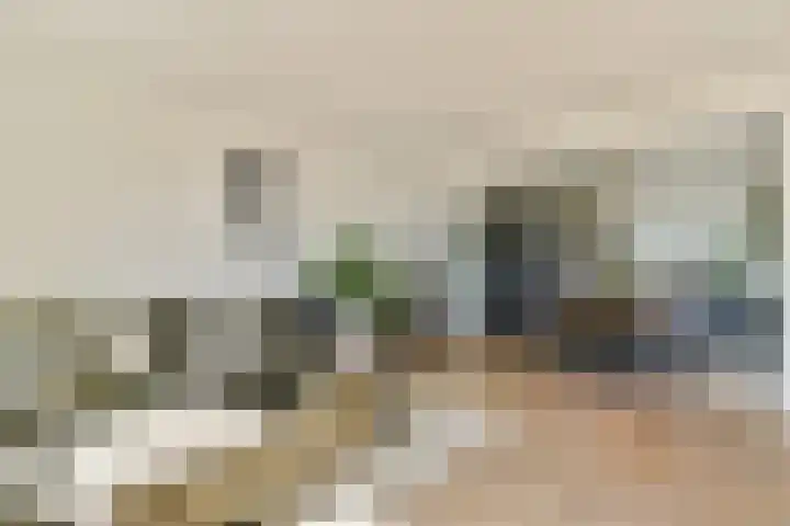 Dierenriem 114 Amsterdam thumbnail 8