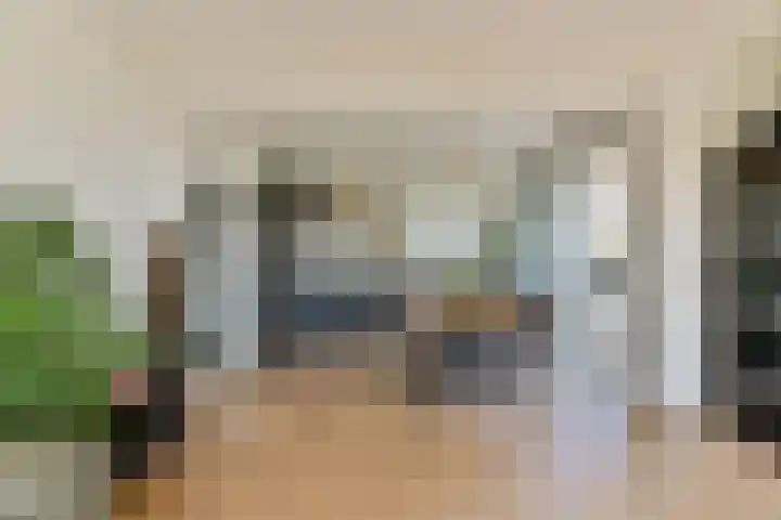 Dierenriem 114 Amsterdam thumbnail 9