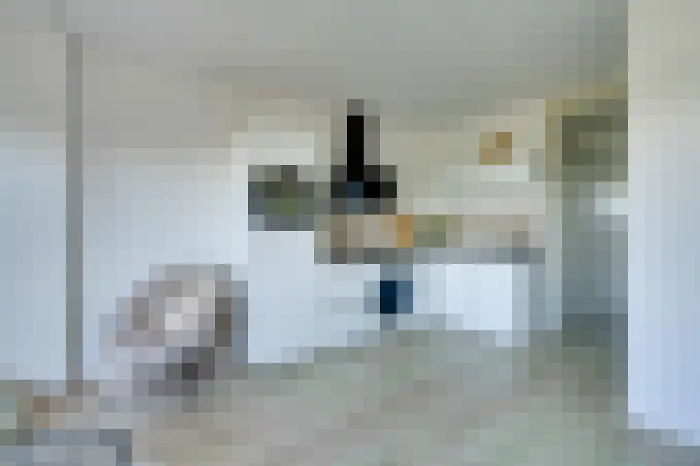 Dierenriem 136 Amsterdam thumbnail 21