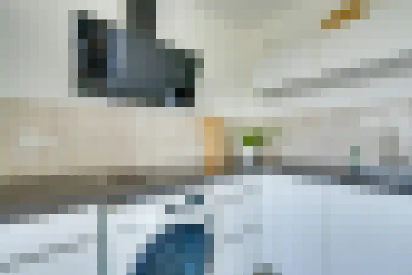 Dierenriem 136 Amsterdam thumbnail 24