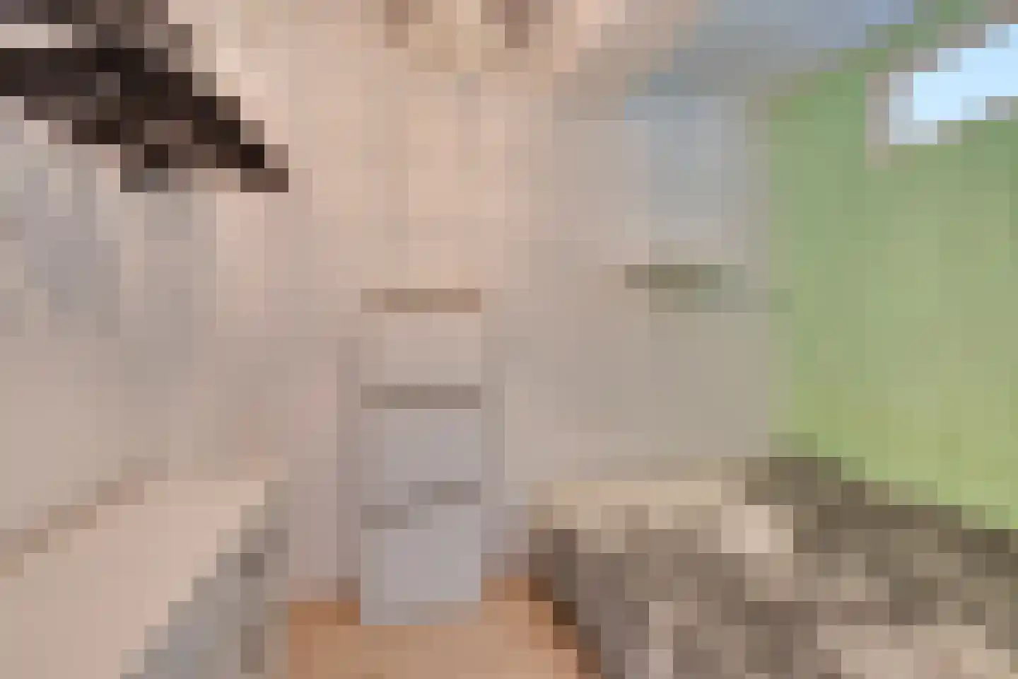 Dierenriem 136 Amsterdam thumbnail 34