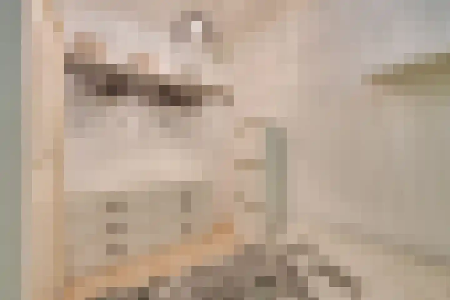 Dierenriem 136 Amsterdam thumbnail 35