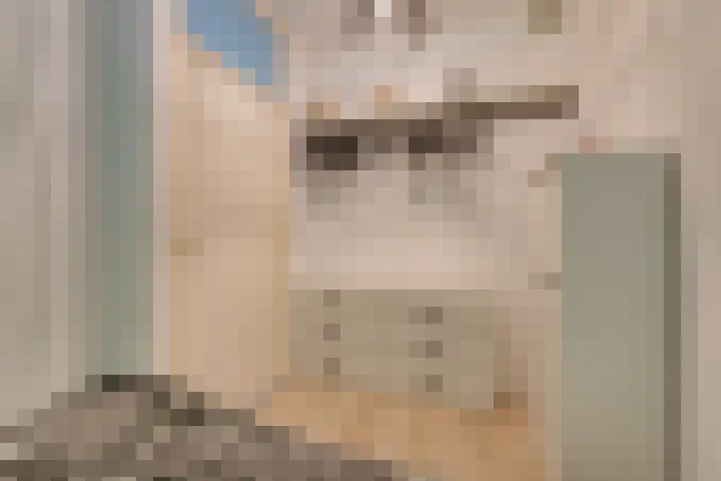 Dierenriem 136 Amsterdam thumbnail 36