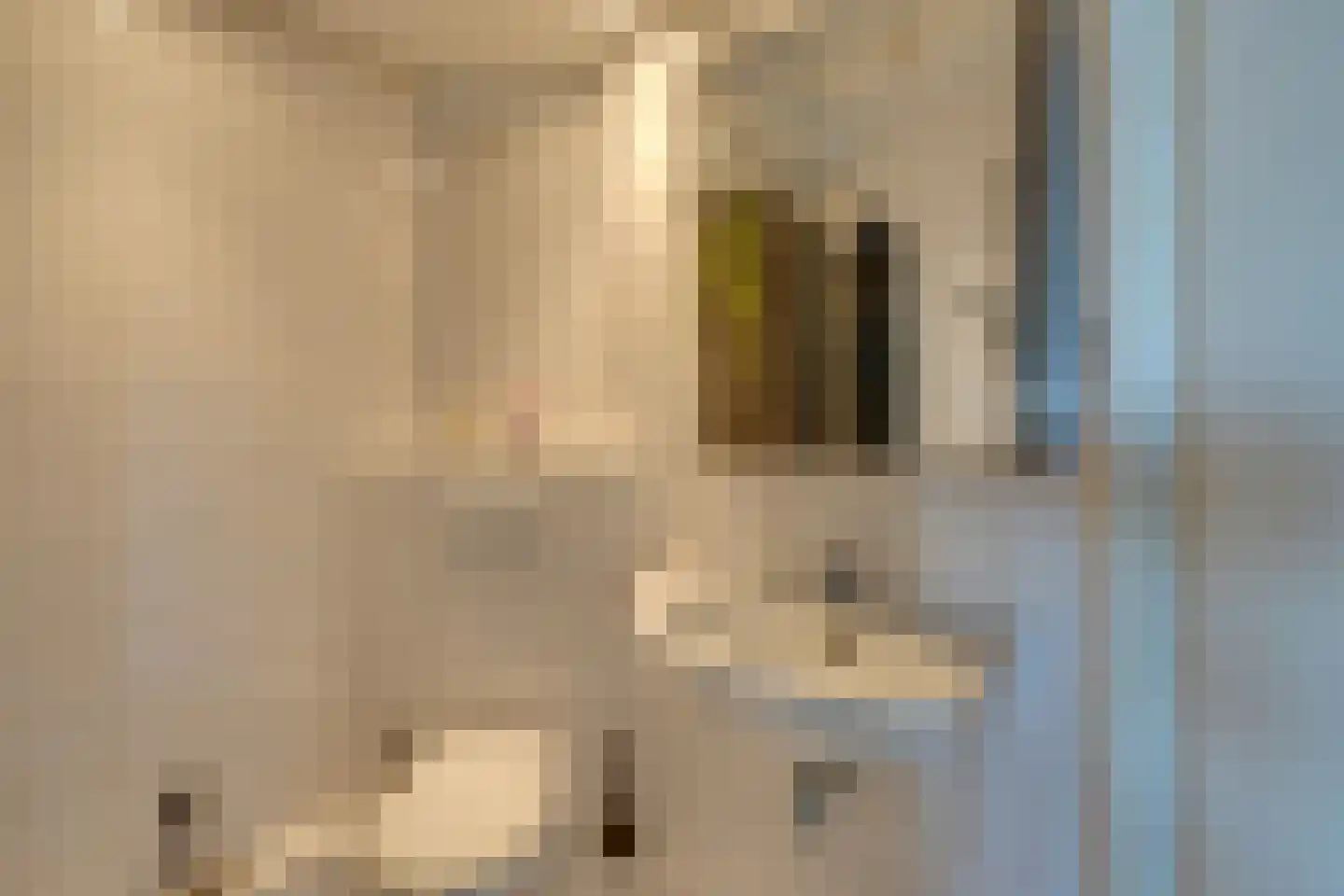 Dierenriem 136 Amsterdam thumbnail 37