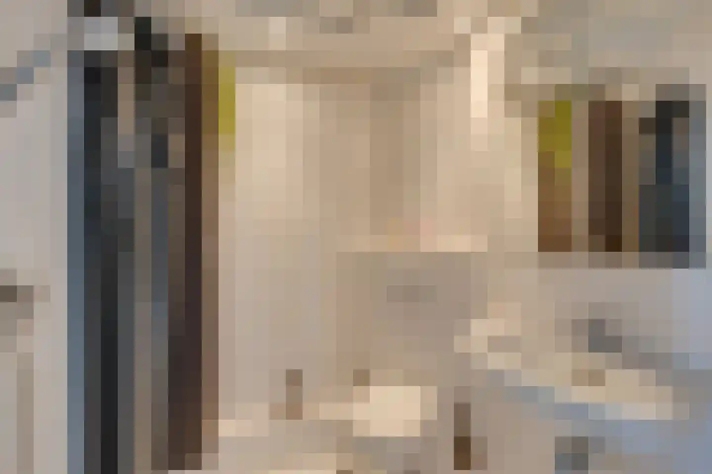Dierenriem 136 Amsterdam thumbnail 38
