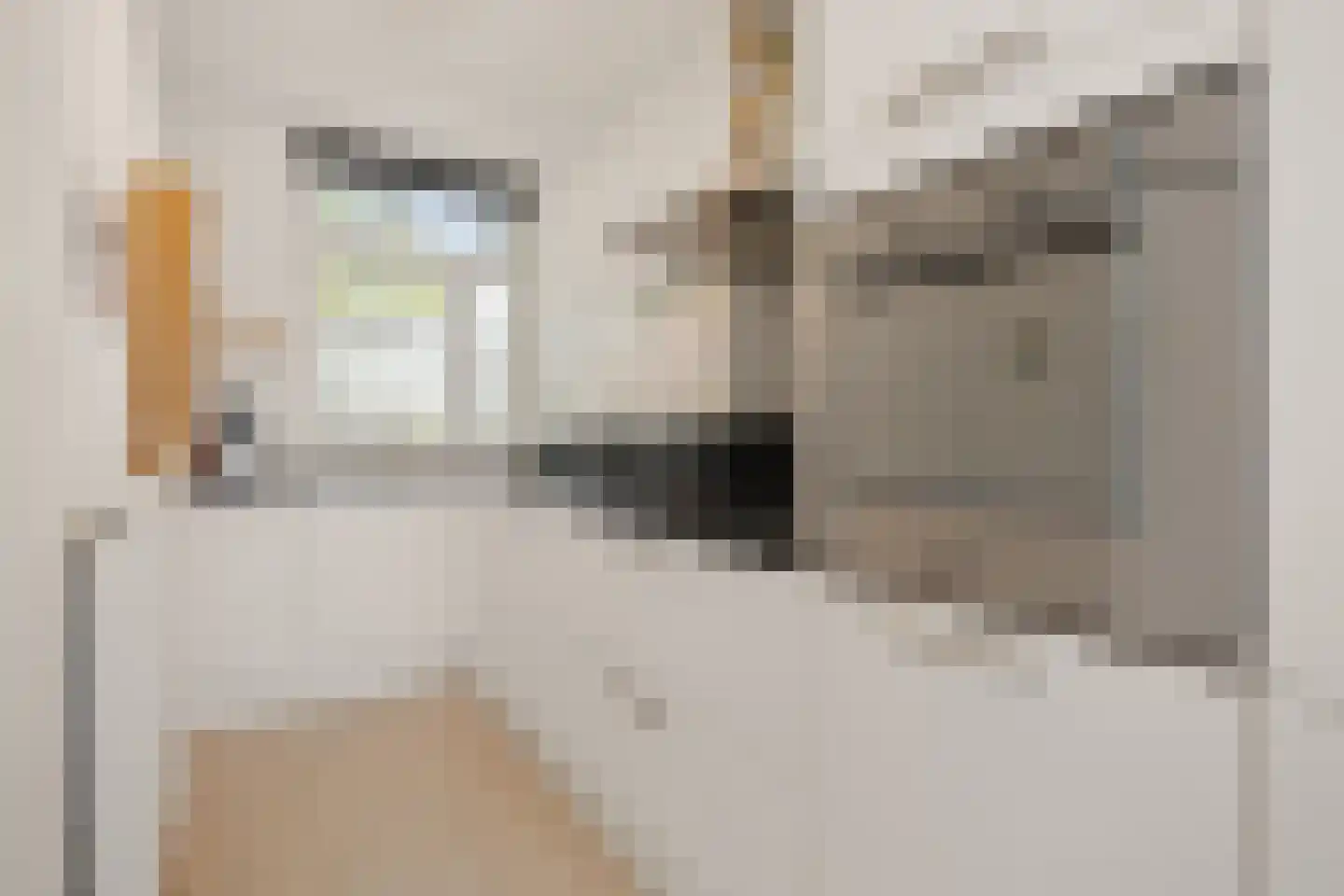 Dierenriem 21 Amsterdam thumbnail 11