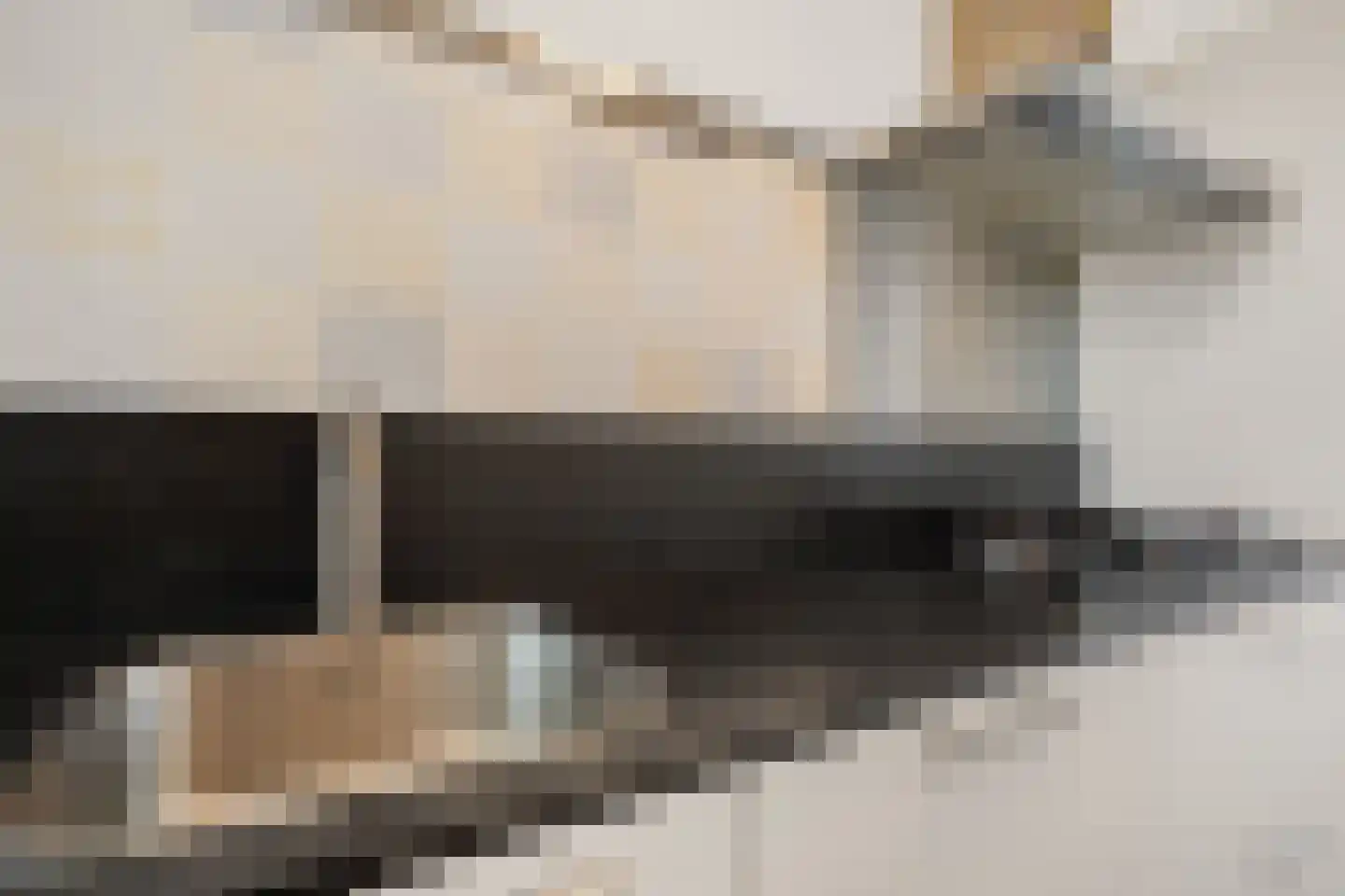 Dierenriem 21 Amsterdam thumbnail 12