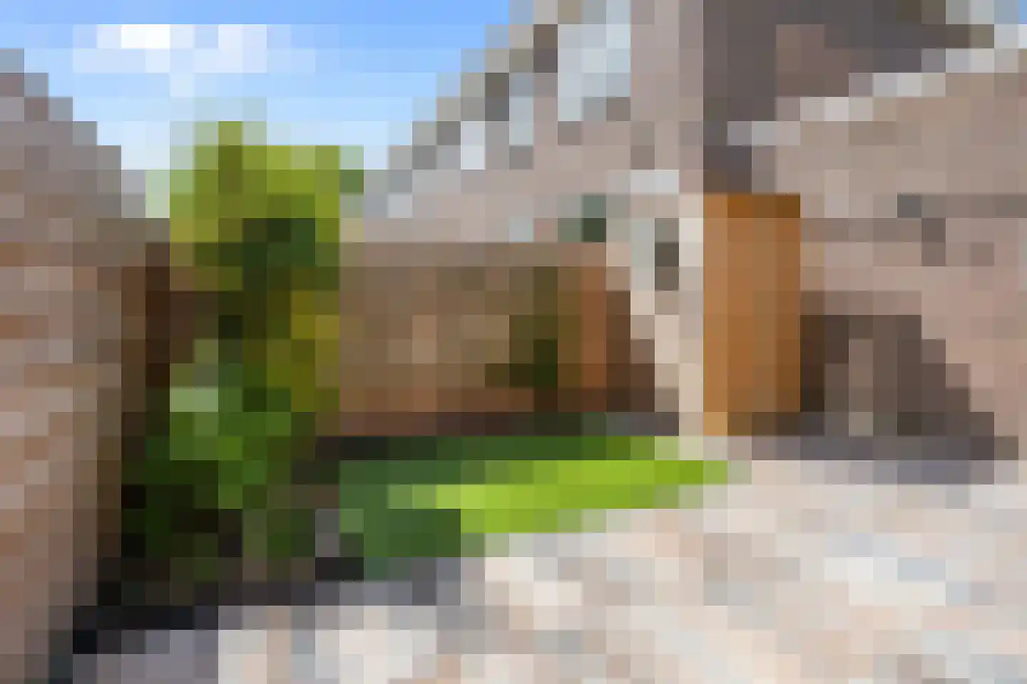 Dierenriem 21 Amsterdam thumbnail 14