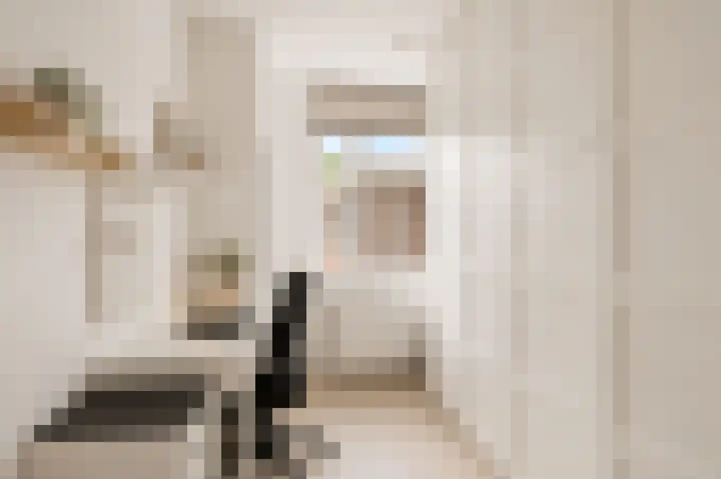 Dierenriem 21 Amsterdam thumbnail 20