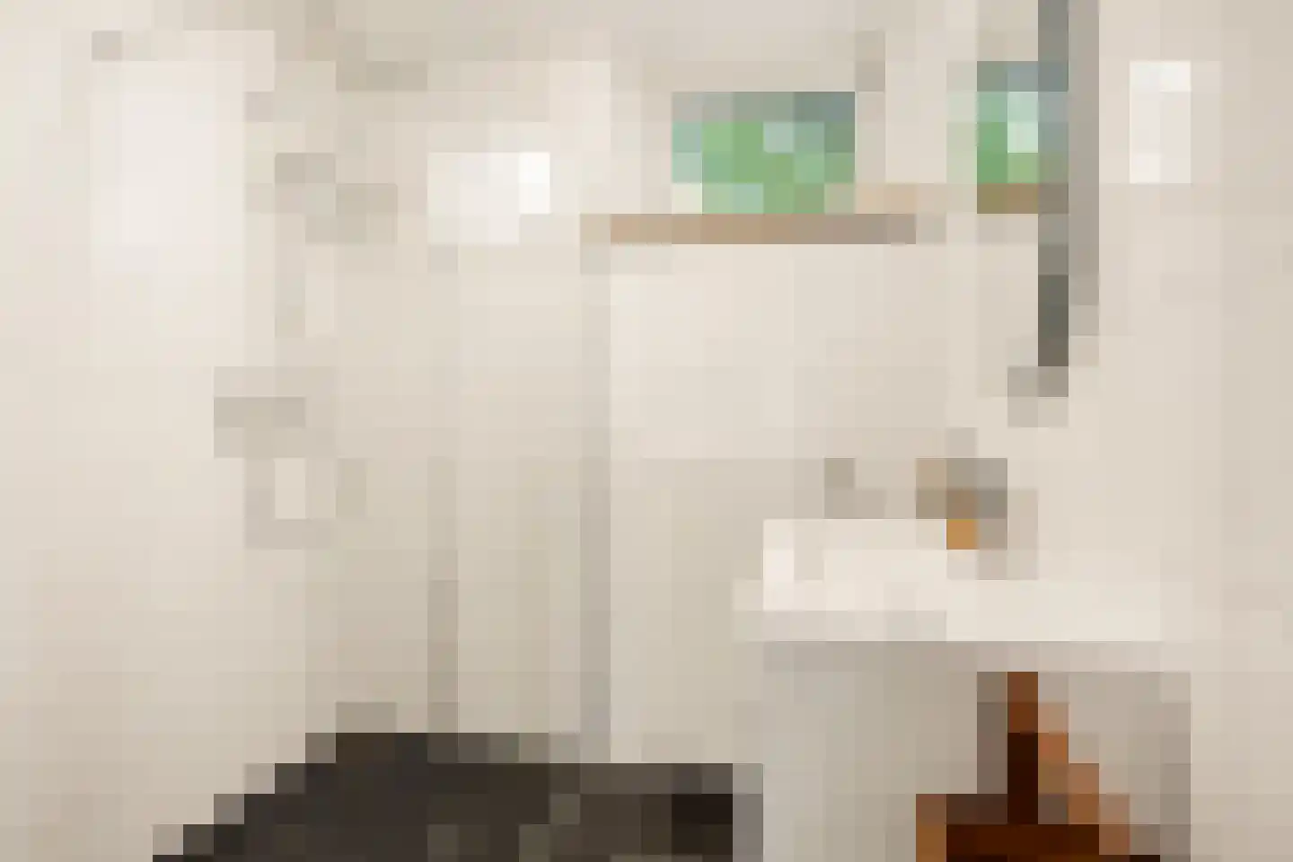 Dierenriem 21 Amsterdam thumbnail 22