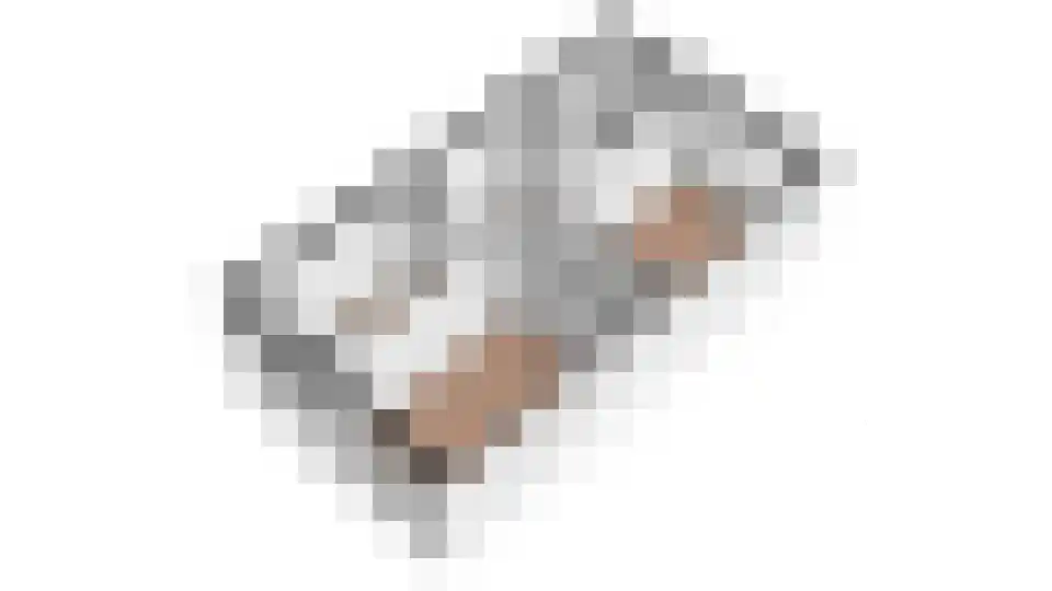 Dierenriem 21 Amsterdam thumbnail 31