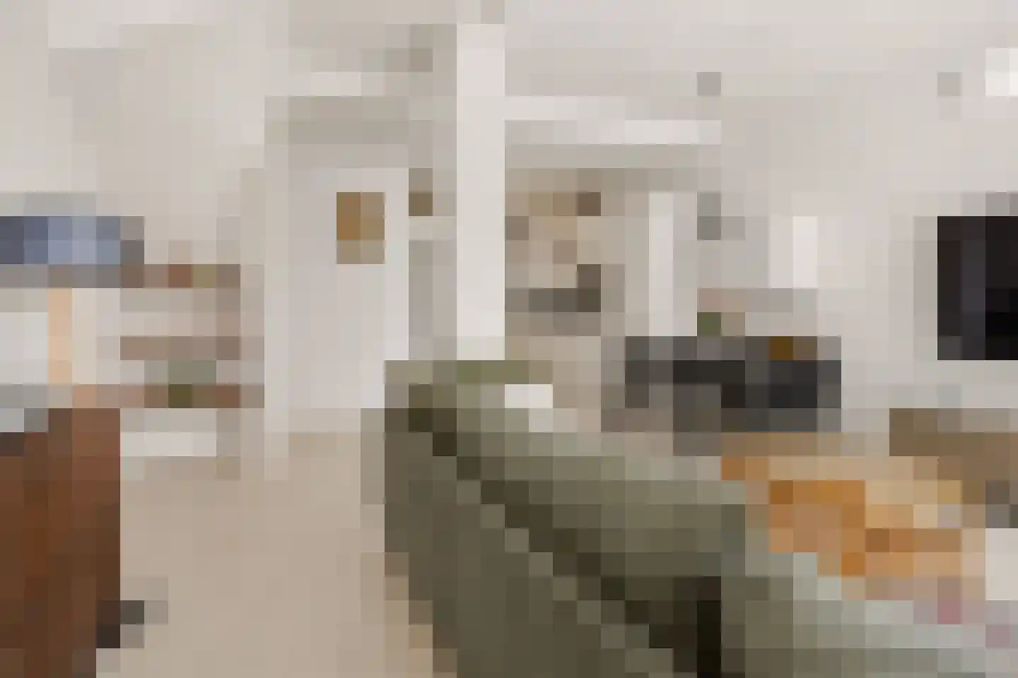 Dierenriem 21 Amsterdam thumbnail 9