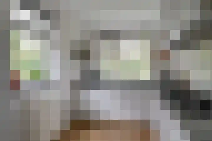 Dierenriem 30 Huis ter Heide thumbnail 12