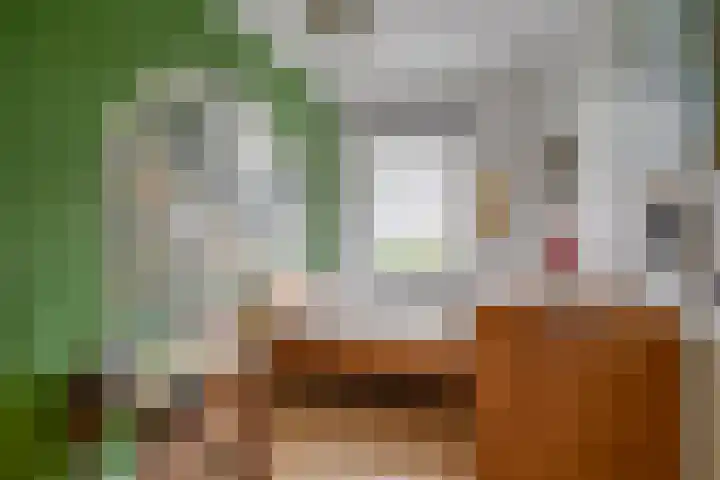 Dierenriem 30 Huis ter Heide thumbnail 19