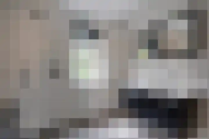 Dierenriem 30 Huis ter Heide thumbnail 25