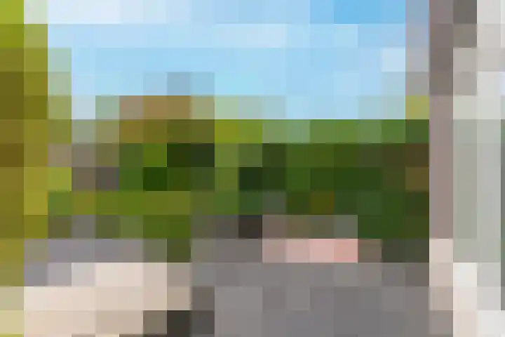 Dierenriem 30 Huis ter Heide thumbnail 35