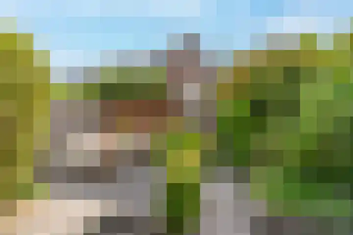 Dierenriem 30 Huis ter Heide thumbnail 36
