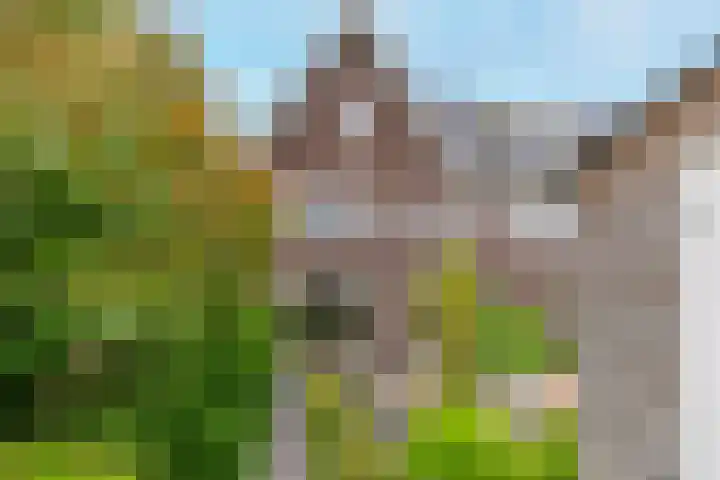 Dierenriem 30 Huis ter Heide thumbnail 37