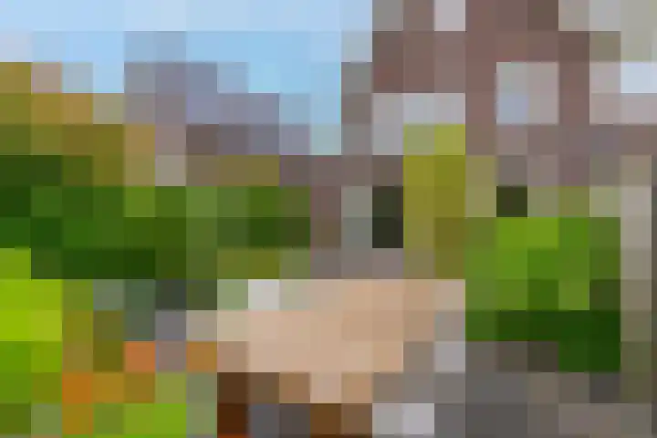 Dierenriem 30 Huis ter Heide thumbnail 38