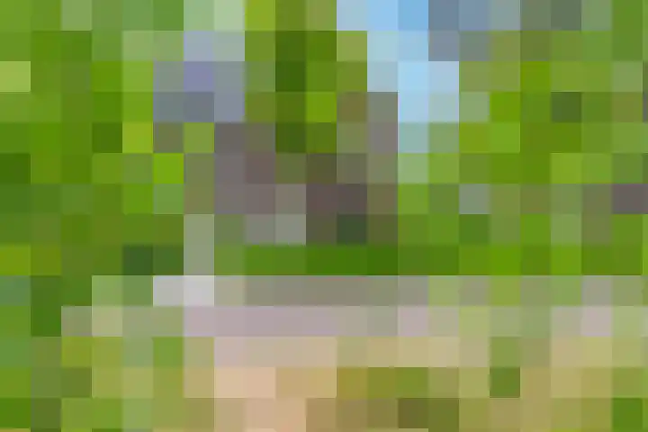 Dierenriem 30 Huis ter Heide thumbnail 40