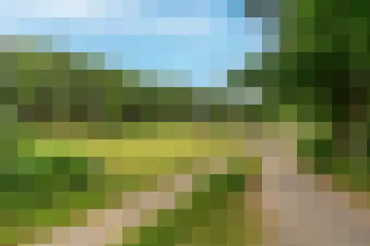 Dierenriem 30 Huis ter Heide thumbnail 44