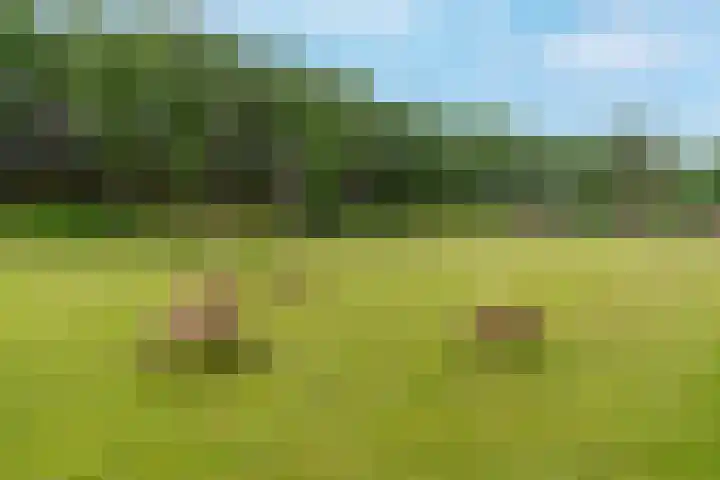 Dierenriem 30 Huis ter Heide thumbnail 47