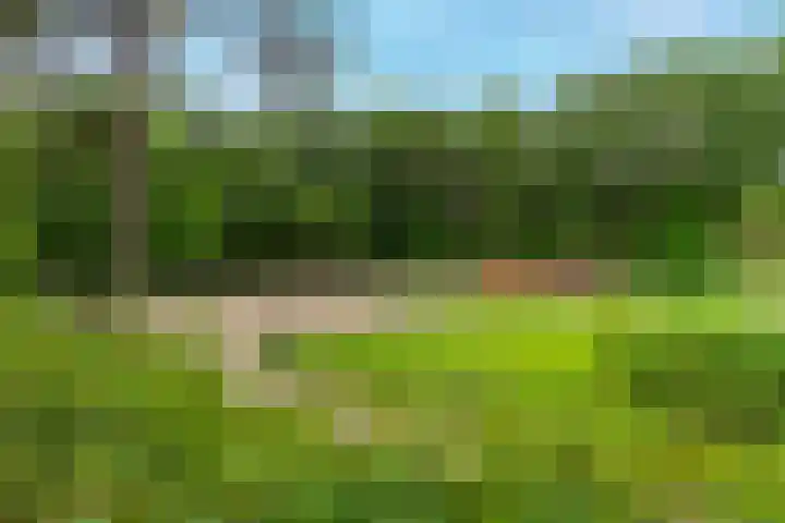 Dierenriem 30 Huis ter Heide thumbnail 48