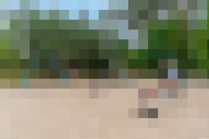 Dierenriem 30 Huis ter Heide thumbnail 49