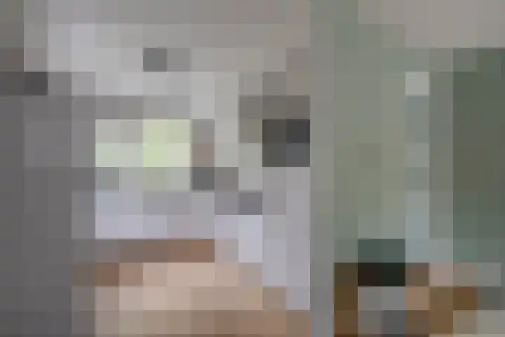 Dierenriem 30 Huis ter Heide thumbnail 9