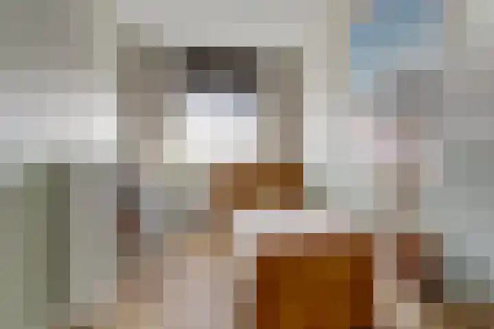 Dierenriem 4 Elst thumbnail 12