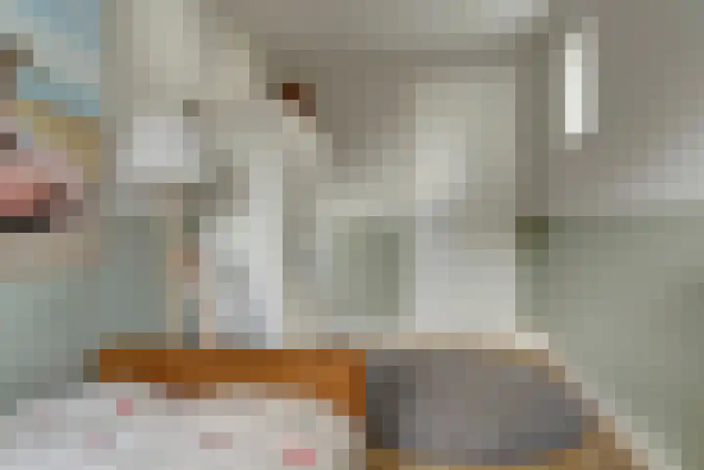 Dierenriem 4 Elst thumbnail 14
