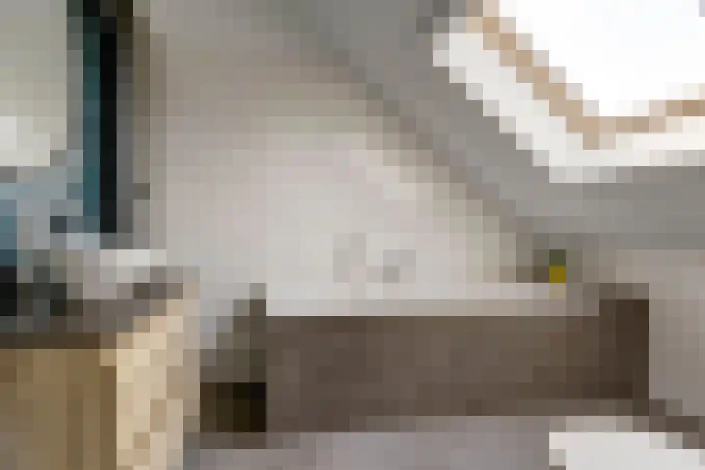 Dierenriem 4 Elst thumbnail 21