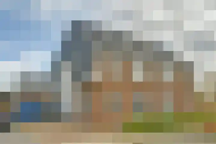 Dierenriem 4 Elst thumbnail 25