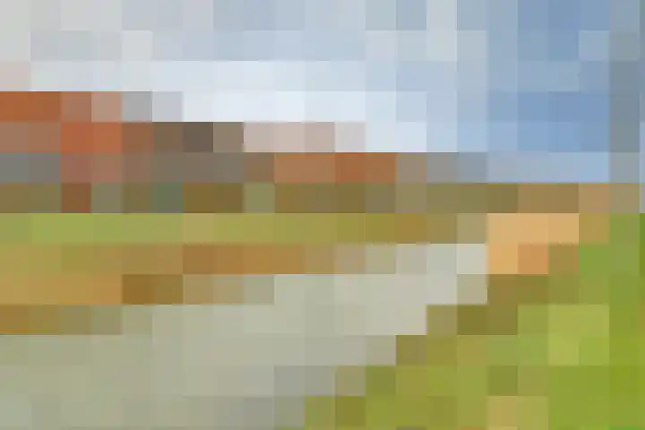 Dierenriem 4 Elst thumbnail 26